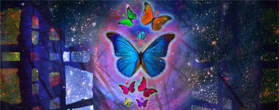 电话自动追呼系统